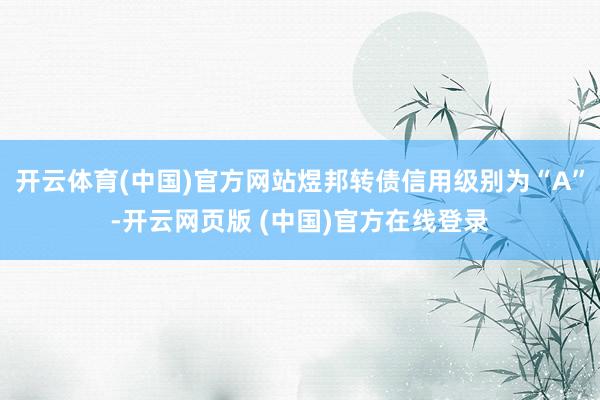 开云体育(中国)官方网站煜邦转债信用级别为“A”-开云网页版 (中国)官方在线登录